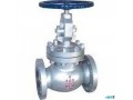 globe-valves-suppliers-in-kolkata-small-0
