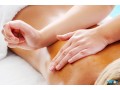 find-the-holistic-health-massage-therapy-school-of-18-months-only-from-qsmh2-small-0