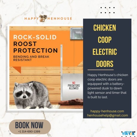 are-chicken-coop-electric-doors-the-answer-you-are-looking-for-to-protect-your-chickens-big-1