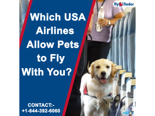 Qatar Airways Pet Travel Policy | FlyOfinder