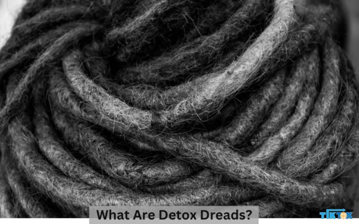 what-are-detox-dreads-big-0