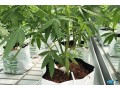 supplies-for-hydroponic-growing-small-0