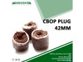 get-premium-quality-coconut-coir-growing-media-offered-by-ceyhinz-link-international-small-0