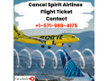 spirit-flight-cancelled-farezhub-small-0