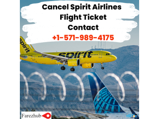 Spirit Flight cancelled - Farezhub